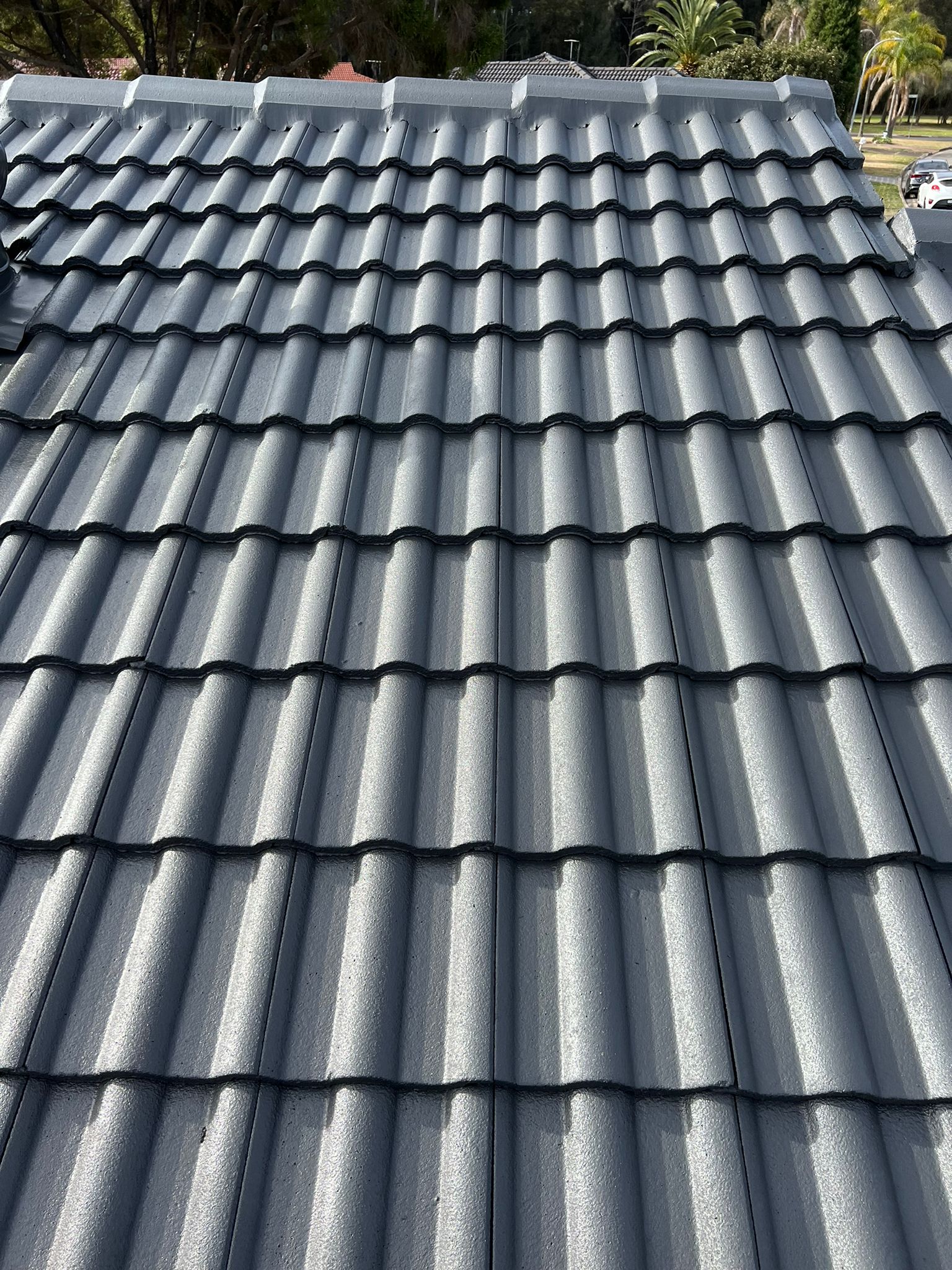 Roof Painting in Sydney